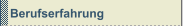 Berufserfahrung