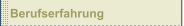 Berufserfahrung